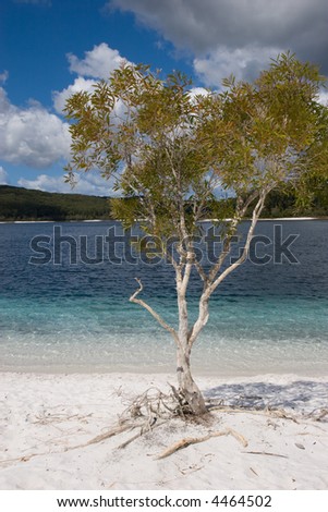 Lake McKenzie is an amazing clear lake on fraser island with super white sand