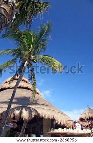 Beach hut and palm trees taken in Mexico