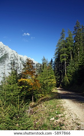 Scenic view of forest path in Austria with mountains in the distance