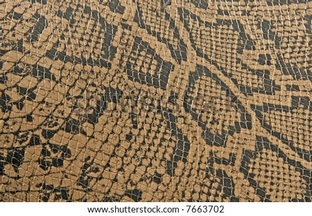 Snake Skin Paint