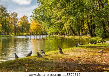 [Obrazek: stock-photo-herd-of-pigeons-on-autumn-ri...572319.jpg]