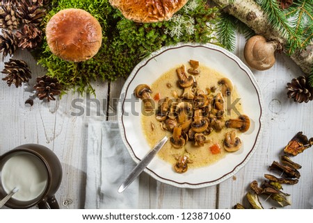 [Obrazek: stock-photo-closeup-of-wild-mushroom-sou...871060.jpg]