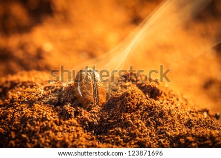 Grain roasted coffee aroma emitting