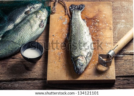Closeup of freshly caught fish for dinner