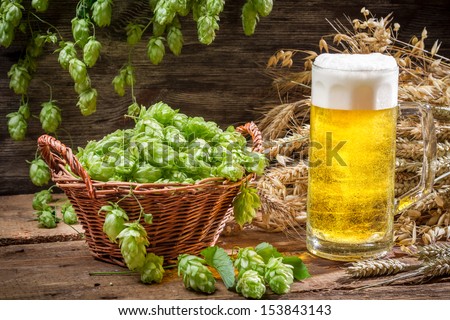 Basket full of hops and a cold beer