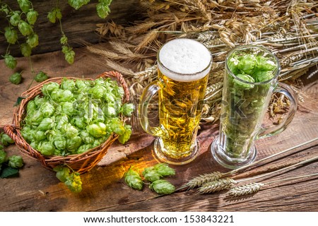 Hops and grains as ingredients for beer