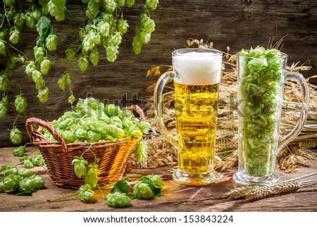Harvest hops and wheat for fresh homemade beer