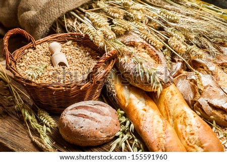 Different kinds of grain and freshly baked bakery products