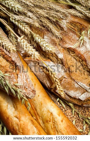 Closeup on a variety of bread with ears grain
