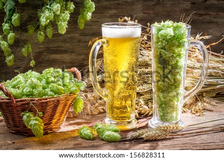 Ears of wheat in gold surrounded by fresh beer hops