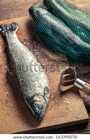 Closeup of preparing fish for dinner