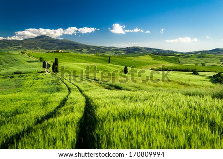 [Obrazek: stock-photo-green-fields-of-wheat-in-tus...809994.jpg]