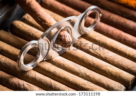 Guillotine and cigar on cigars background
