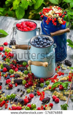 Freshly harvested wild berry fruits in summer