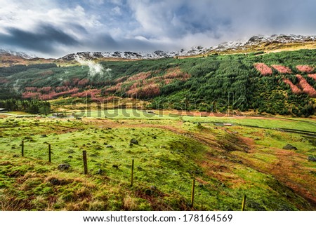 [Obrazek: stock-photo-argyll-forest-park-in-winter...164569.jpg]