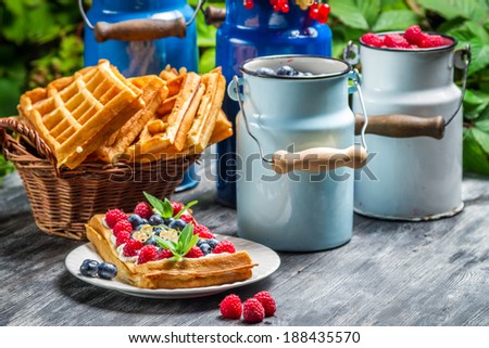 Waffles with whipped cream and fruit