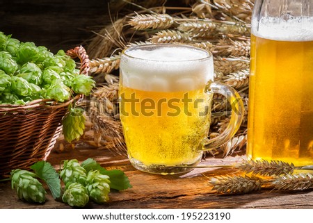Fresh homemade beer made of hops