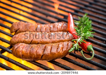 Hot sausage on the grill with fire