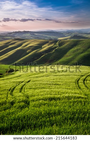 Beautiful view of the country footpath at sunset in Tuscany
