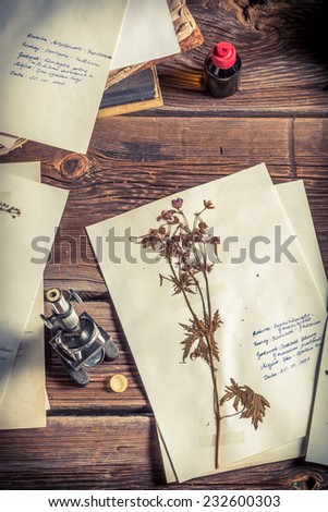 Collecting biological herbarium for lesson