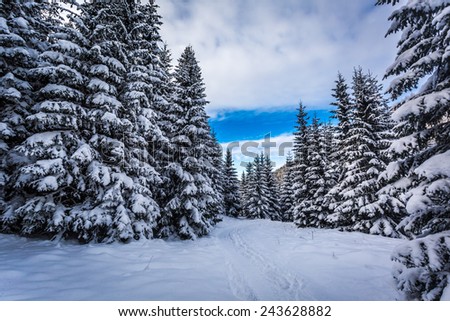 Winter full of snow mountain path