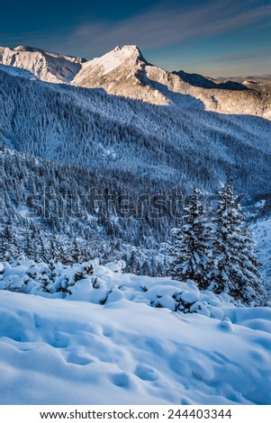 Mountain peaks in the winter dawn