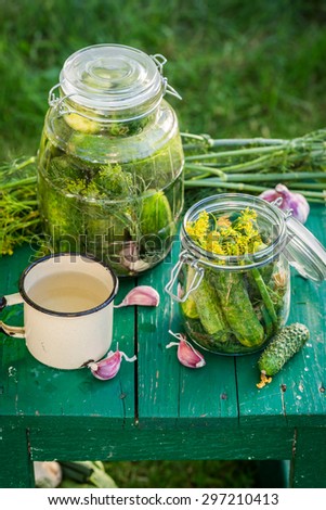 Homemade pickled cucumbers in the countryside