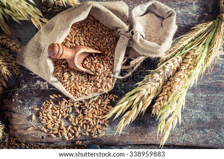 Healthy ingredients for rolls and bread with whole grains