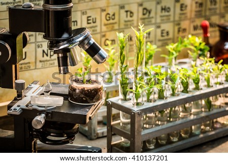 Chemical laboratory with microscope and plants