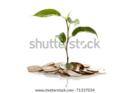 [Obrazek: stock-photo-plant-on-coins-growing-71337034.jpg]