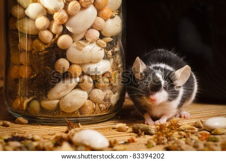 [Obrazek: stock-photo-mouse-in-old-basement-with-h...394202.jpg]