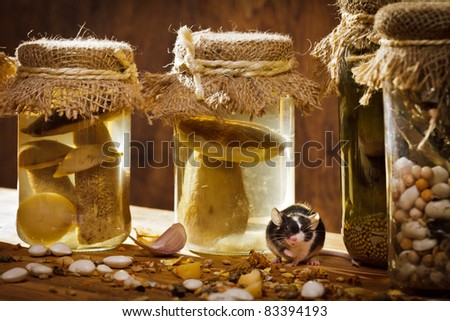 [Obrazek: stock-photo-small-mouse-with-jars-in-bas...394193.jpg]