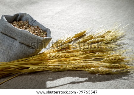 Closeup wheat seed on canvas