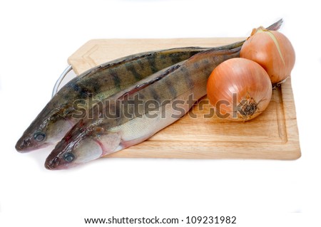 Fresh perch, fresh edible fish