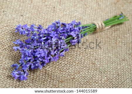 natural herb lavender