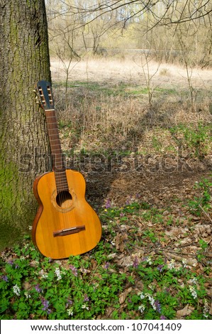 spanish guitar leaning against a tree in the landscape vertical