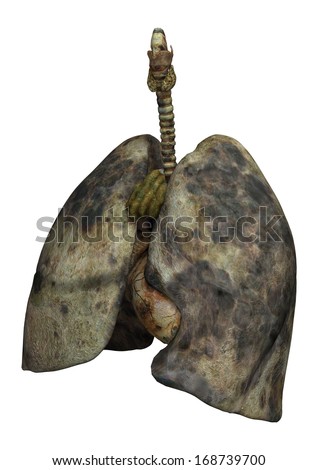Image Result For Are Electronic Cigarettes Bad For Your Lungsa Image Result For Are Electronic Cigarettes Bad For Your Lungsa