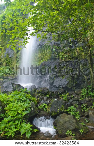 Waterfall, La Reunion Island, Indian Ocean
