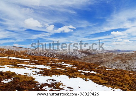 Mountain grasslands