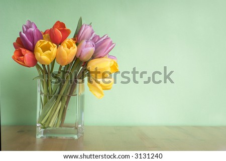 vase of tulips on table - green background - copy space