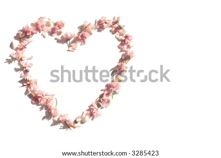 heart of cherry blossoms