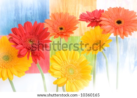 Colorful+daisies+background