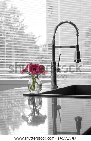 modern kitchen counter, sink, faucet & flowers - partially toned
