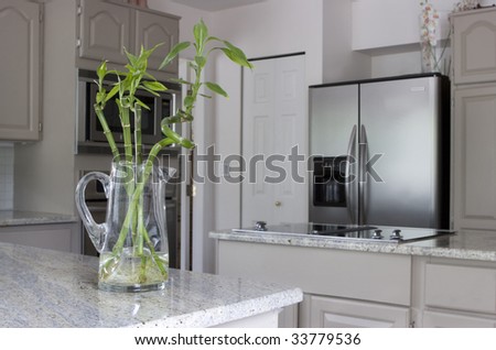 modern grey kitchen with jug of lucky bamboo on counter - domestic life