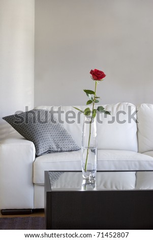 red rose on table in modern living room