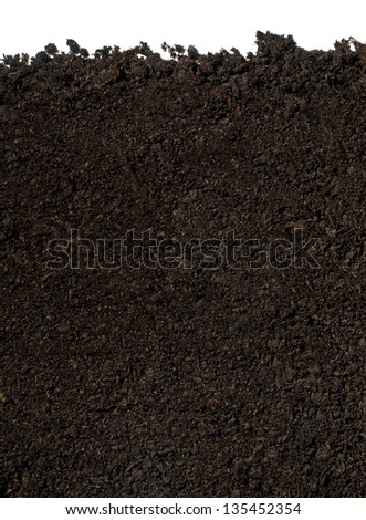 soil for planting on a white background