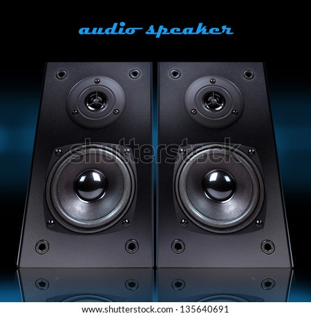 Audio speaker in  case isolated on black background,