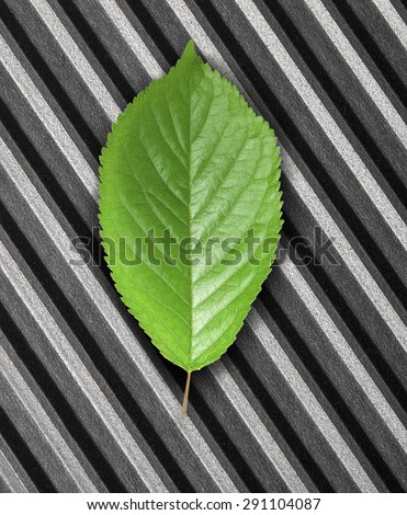 Green leaf lying in the rays of light on scratched metal. Top view. Modern technology and nature compatible. New technology on guard ecology.
