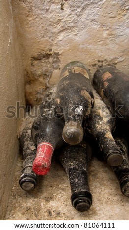 vineyard cellar with old bottles