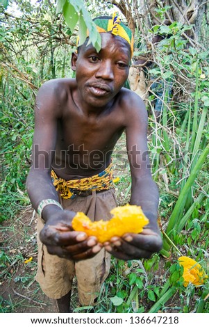 LAKE EYASI, TANZANIA - FEBRUARY 18: An unidentified man from Hadza tribe shares honeycomb with other people in the bush, on February 18, 2013 in Tanzania. Hadzabe tribe threatened by extinction.